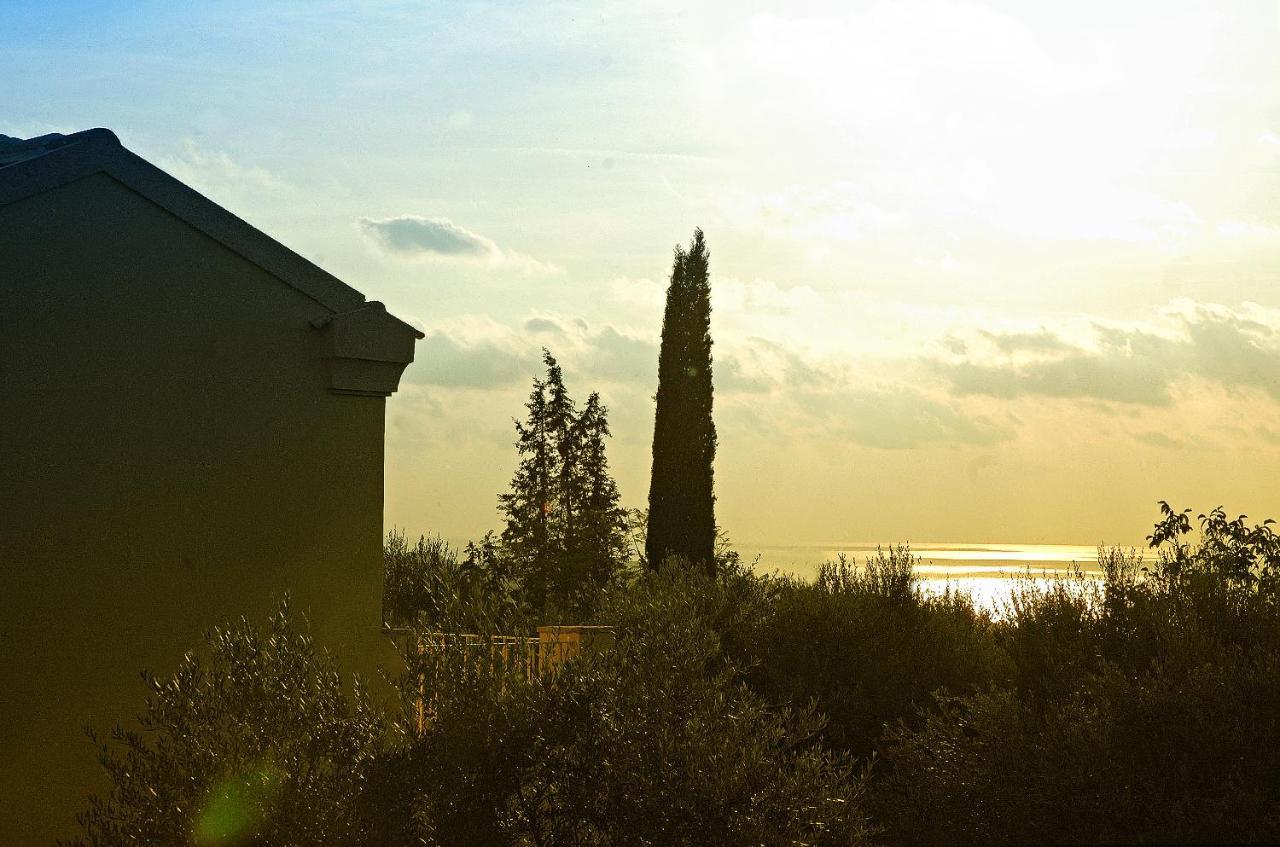 Villa Mastrogiannis Dafne Kavvadades